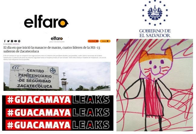 OYarkandal's tweet photo. AL FINAL NO CAIGAMOS EN DISTRACTORES
El gato es la cortina de humo para desviar la atención por lo que reveló El Faro. https://t.co/SQFLdUKsYt