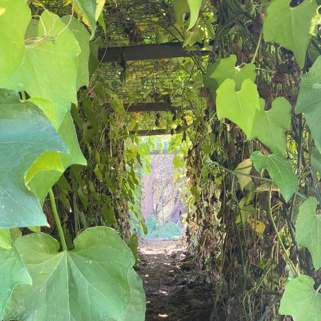 Bay Area Green Tours, 501c3🌱 tweet media