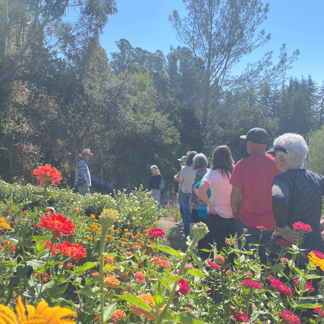 Bay Area Green Tours, 501c3🌱 tweet media