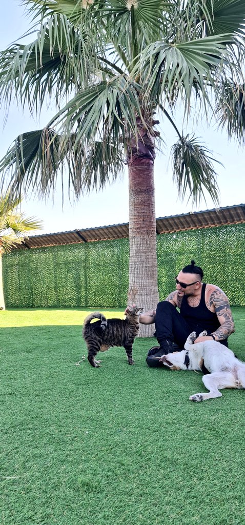 7 haftadır evime gidemedim. Daha 3 hafta daha gidemeyeceğim. Çocuklarımı özledim. 🧿🥺🧿