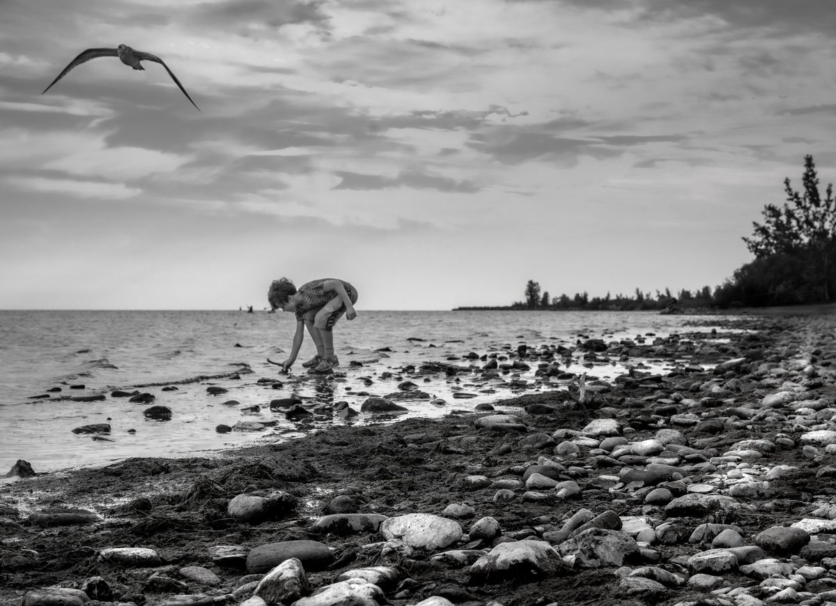 lamorphoto's tweet photo. #blackandwhitephoto #photooftheday https://t.co/S4rNrIDK0I