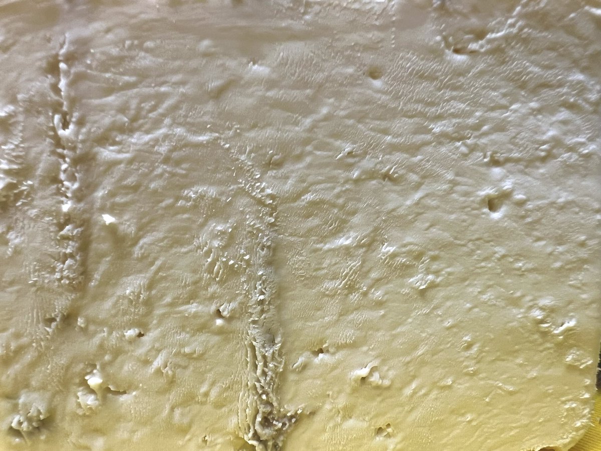 Cheesemonster tweet media