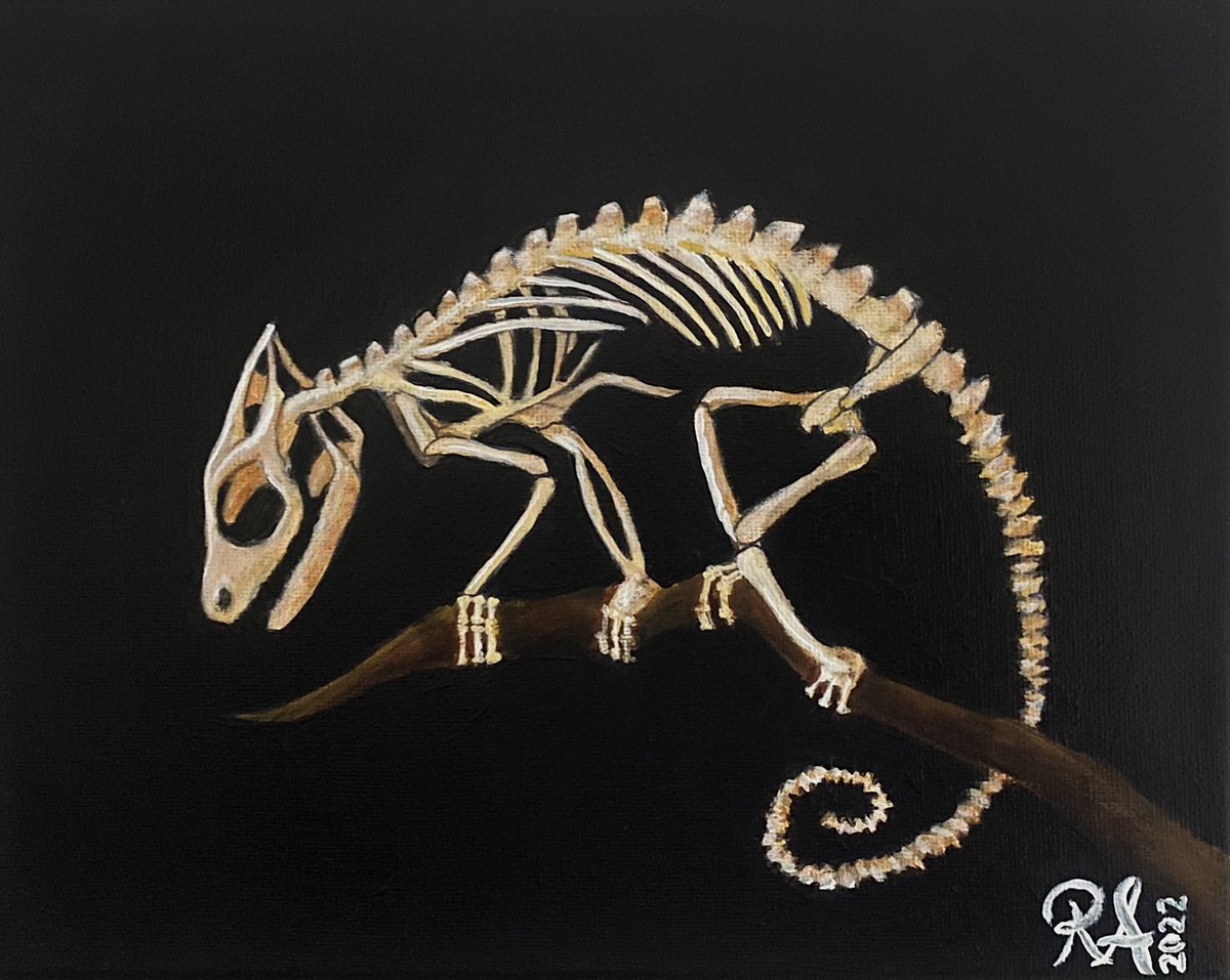 magicbyraine's tweet photo. hey guys!! i’m interested in getting to know some more art mutuals on here &amp; on other platforms!! drop your linktrees below &amp; tell me something about yourself or your artwork!!

i’m a 23yr old artist &amp; i love painting beautiful bones!! 

https://t.co/L6oSnKqtFY

your turn🌟🌿 https://t.co/ceMMcIqQeZ