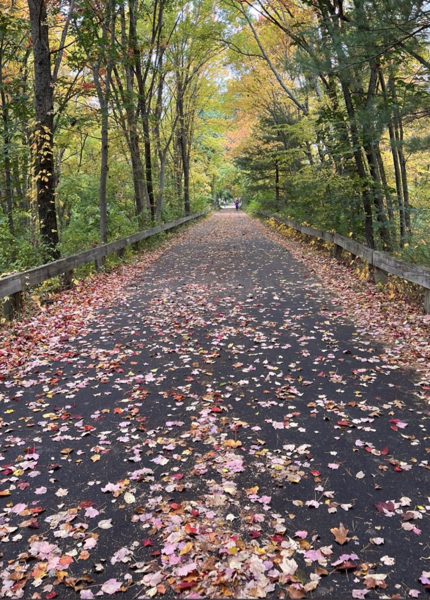 backfromtheded_'s tweet photo. Fall will forever be my favorite season. 🥀 https://t.co/7A1wBgwIGO