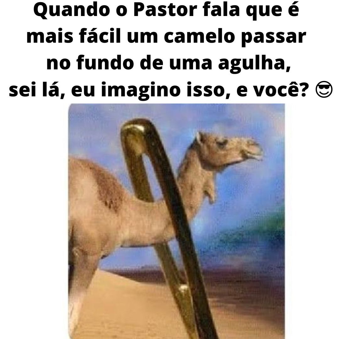 rinaldosantostp's tweet photo. 😎😂😂😂😂 https://t.co/cQaG30ctil