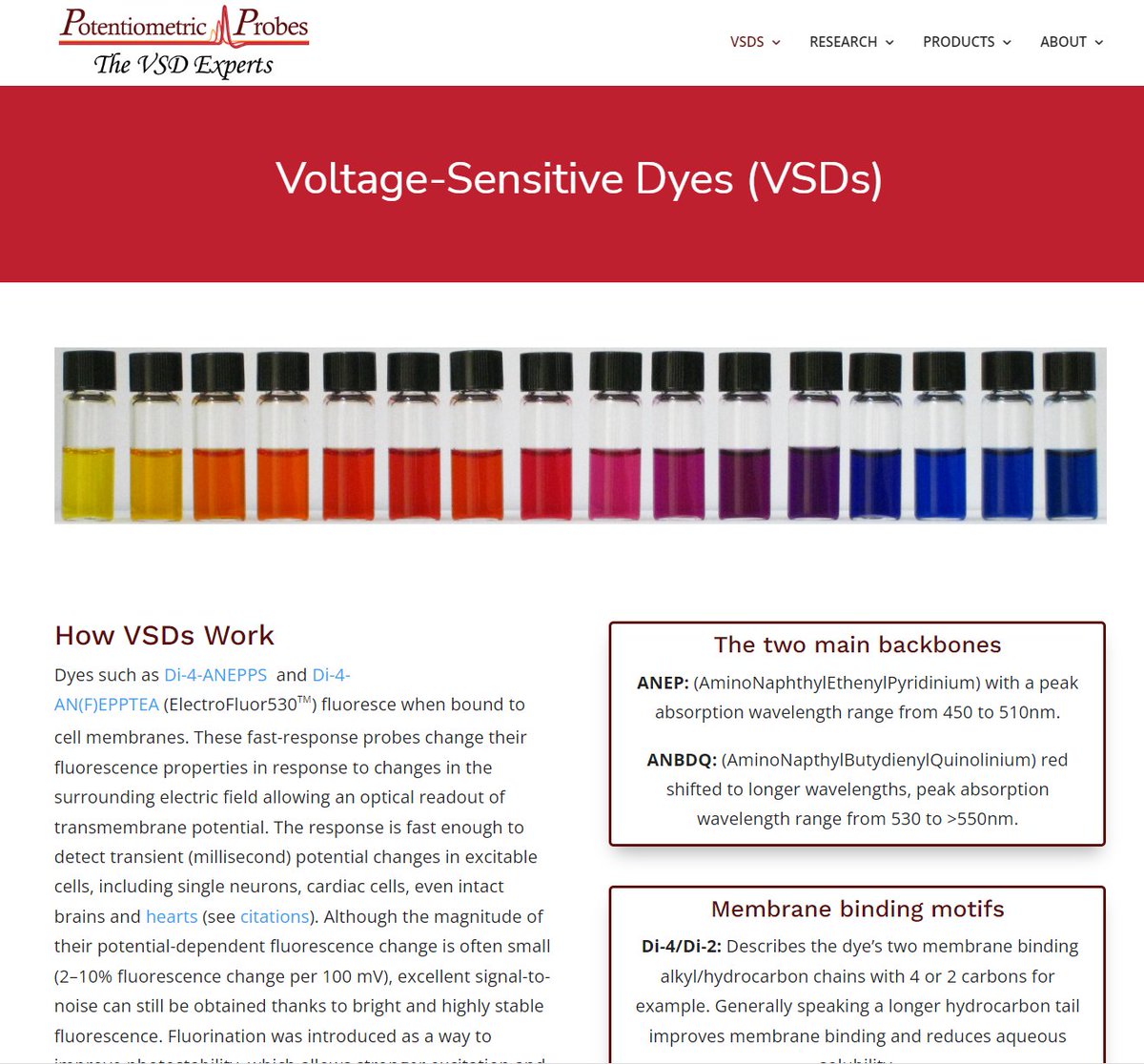 Website  significantly enhanced with many useful tips, data and new VSDs. Also finally started using easy names for our popular fluorinated dye series: no more need to remember "di-4-ANEQ(F)PTEA", now it's "ElectroFluor630" potentiometricprobes.com
