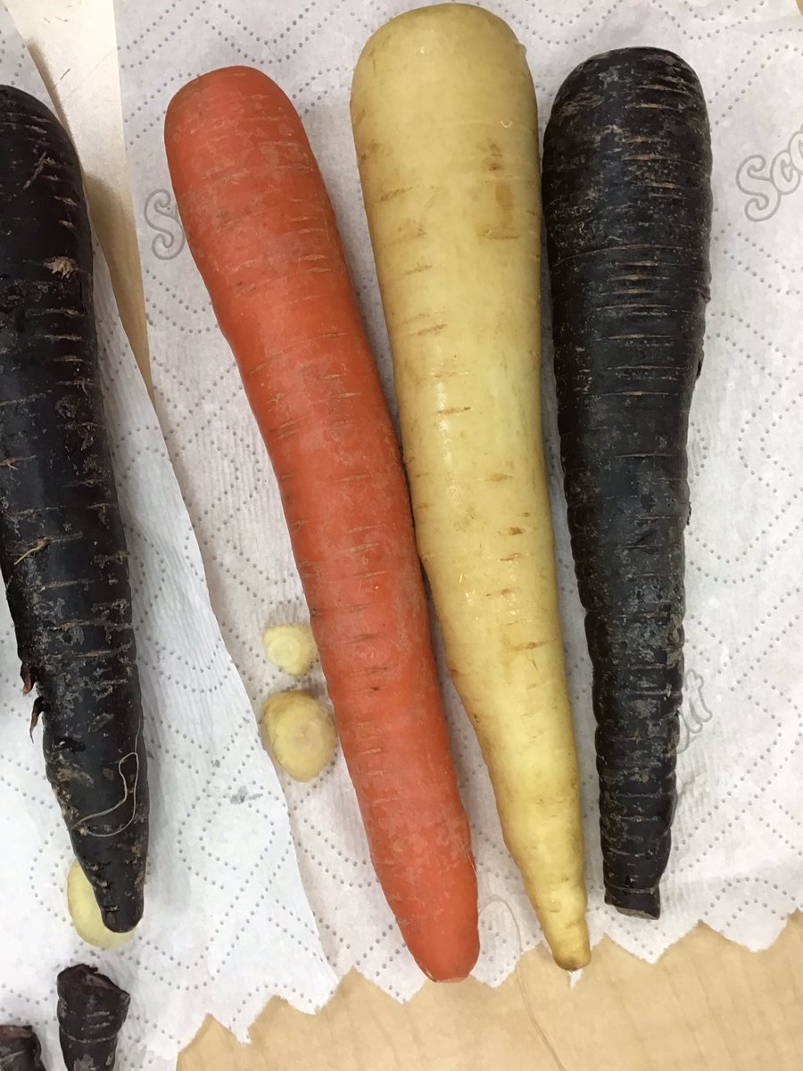 HTS_Kindies's tweet photo. Ask us about taste testing carrots from the farm. 🥕🧑🏼🌾👩🏼🌾 #fallinquiry #harvestfruitsandvegetables #odjectives #BetterTogether❤️ @ConnieRanieri @HTSRichmondHill https://t.co/YgQA6uotzG