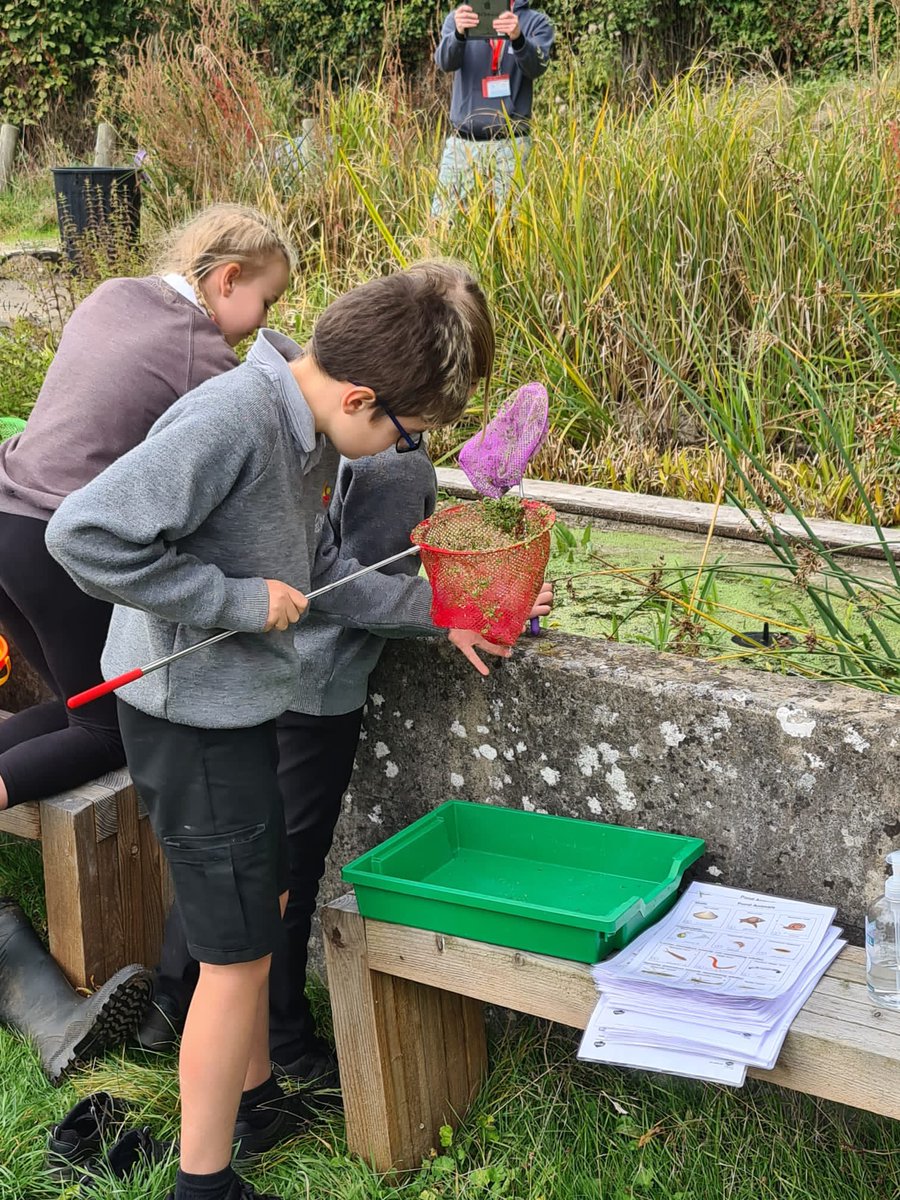 Yesterday Year 6 started their Wild Monkton programme with activities such as: firepit art, pond dipping, wild walking and baking. Thank you to our friends at <a href="/MonktonBath/">Monkton Combe School</a> for being so welcoming! <a href="/PalladianTrust/">Palladian Academy Trust</a> @MonktonHead
