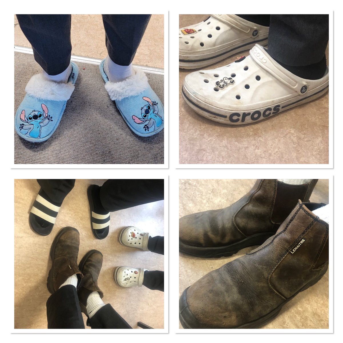 Summerhill College tweet media