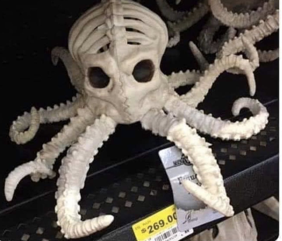 Really???? Skeletons of invertebrate animals on sale for Halloween! #SciEd #ScienceEd #invertebrates #mollusks #biology #NSTA #NGSS