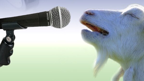 TiSuk509's tweet photo. M pa vle lòt
Ou pa pafè men ou vrè
M pa vle lòt
Se pou sa m vle w se dènye lanmouuu m
Apre ou
M pa vle lòt

🎶🎶 https://t.co/1Tja39XxCU
