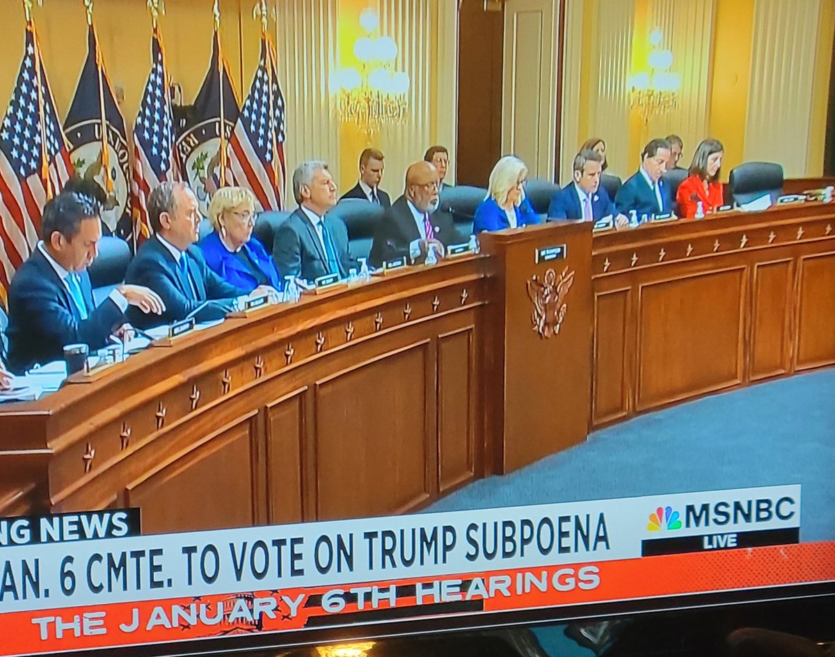 AbsolutelyKate's tweet photo. The #trumpyuck gets the #subpoena

G🌟 #America 
G🌟 🇺🇲

#Hearings https://t.co/83EGLNiyce