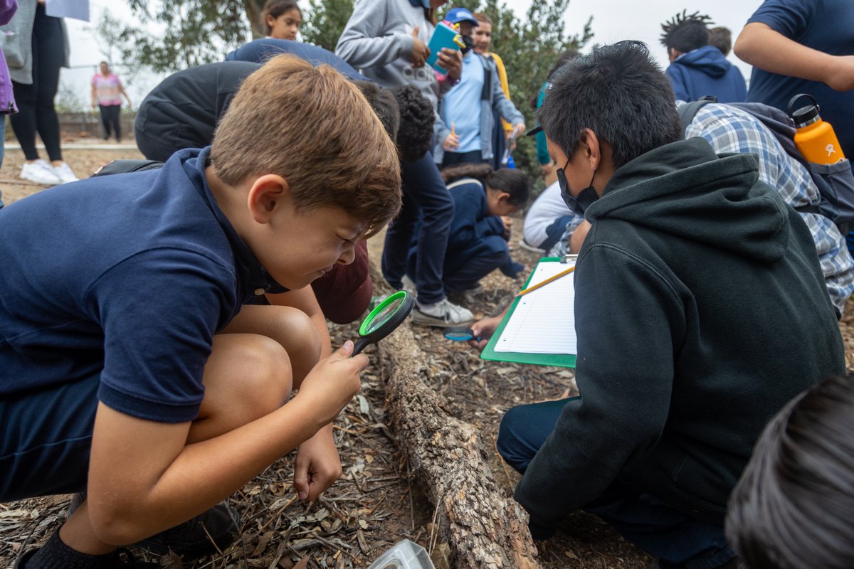 Groundwork San Diego tweet media