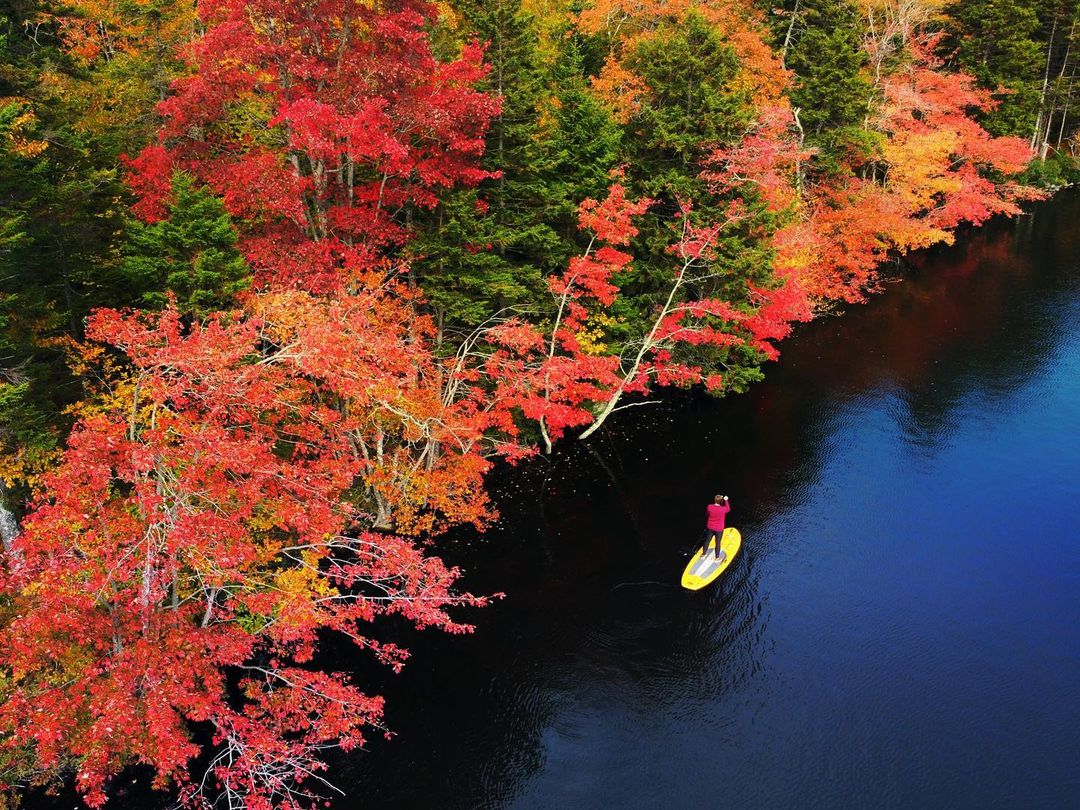 VisitNovaScotia's tweet photo. #NSLeafwatch Photo of the Day - The Perfect Paddle in Hectanooga (Municipality of Clare) by @cmazier via Instagram
Show us your Nova Scotia fall adventures by hashtagging #NSLeafwatch and #VisitNovaScotia #ExploreCanada https://t.co/KmDigBJANV