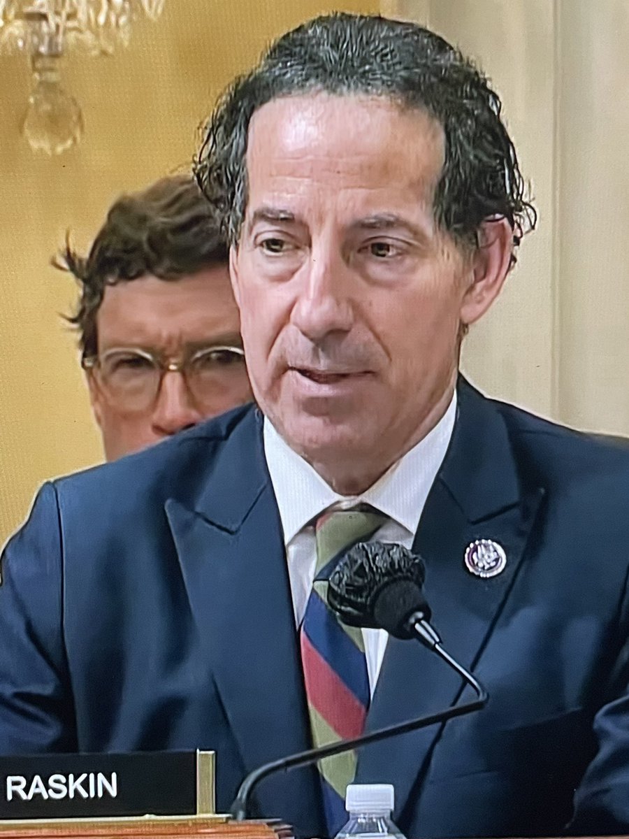 EHTownsend's tweet photo. @LeaderMcConnell perched behind @RepRaskin in disguise, desperately hoping someone will nail the bastard that crashed his party? https://t.co/6fg2B0sWlC