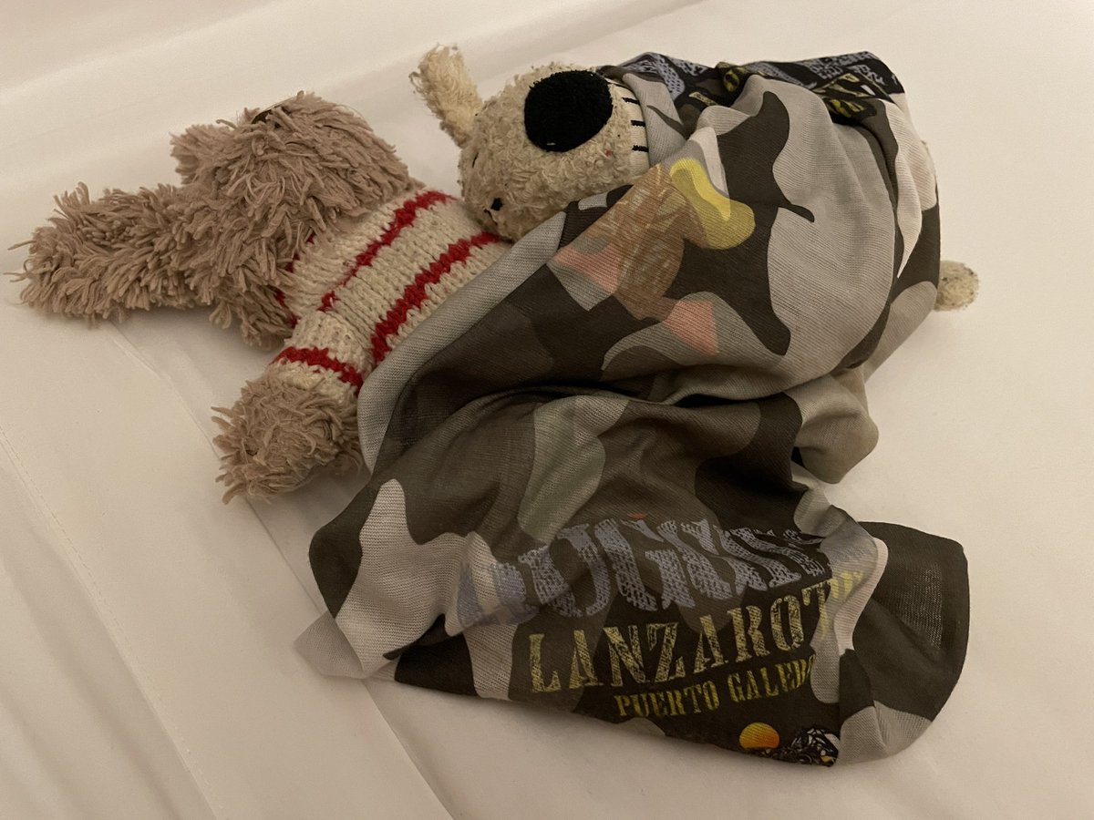 Mr_Rabbit_1's tweet photo. Today @Mr_Rabbit_1 and Dave joined #buggieslanzarote for some off road fun and sightseeing. Now they’re zonked and need sleep 💤 🐰🏎🏁 #puertocallero #letsoffroad https://t.co/yZDA1Yz88k