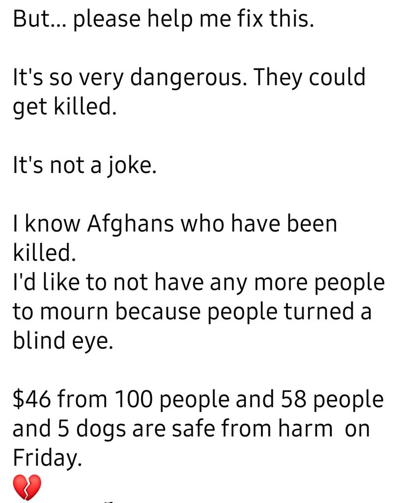 PawsUnitePeople's tweet photo. It's now the 14th in Pakistan. Please help us right this egregious wrong. 
We are so close.
https://t.co/4V08hQF6jb
This is my personal post on FB. I'm trying to reach as many as I can. 
I don't want to see another hair on another head be harmed. We have to keep trying 💔Mer https://t.co/zhHQla1evB
