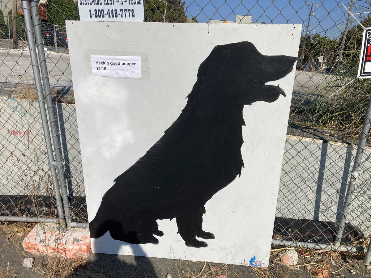 tmonk42's tweet photo. Saw this pupper in my neighborhood and it needed a rating. 12/10 good pup! @dog_rates https://t.co/yzkpCu1q5W