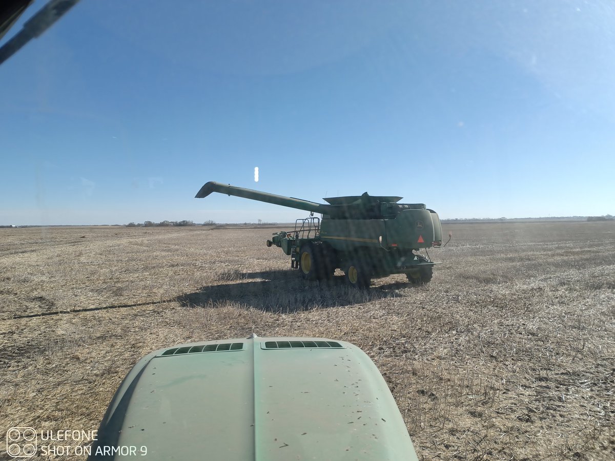 Joe Widdup tweet media