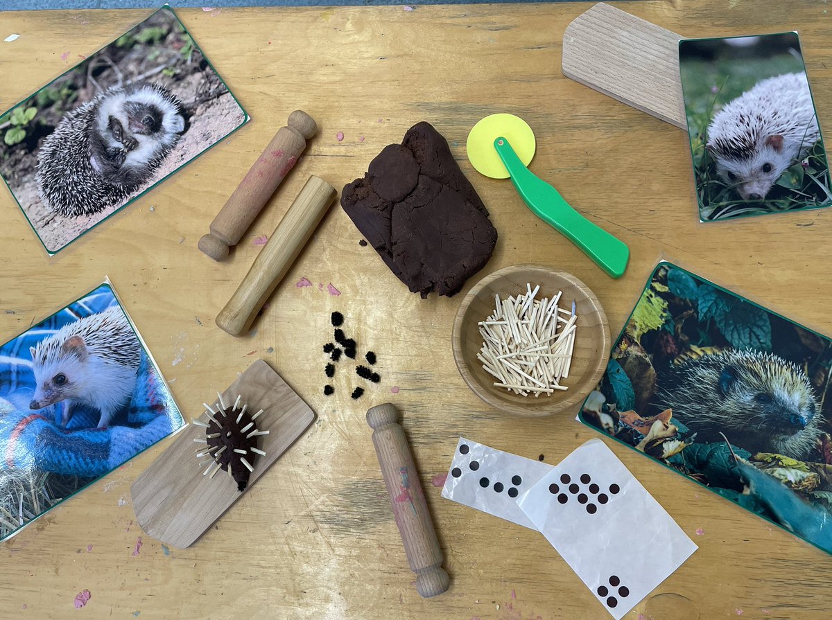 Seedlings Nursery tweet media