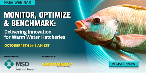 hatchery_int's tweet image. #Sponsored: In this #webinar, you will learn how @MSDAnimalHealth&apos;s &quot;Monitor, Optimize and Benchmark&quot; holistic approach so that producers have the solutions to maximize efficiency, productivity, and fish welfare from egg to plate.
hatcheryinternational.com/webinars/monit… #fishwelfare #fishhealth