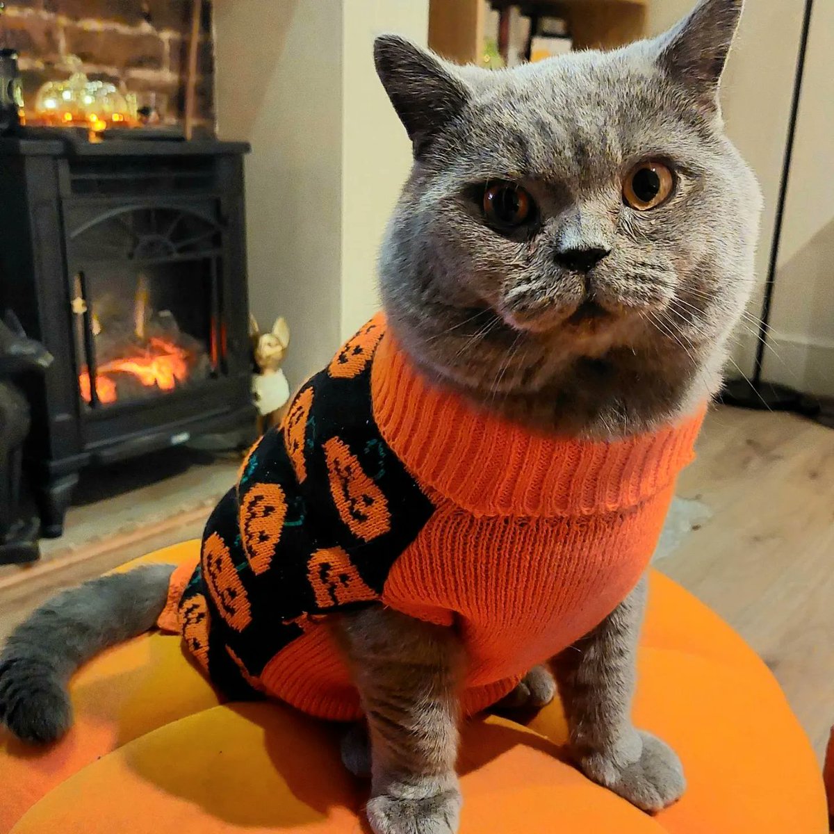 Natalie Smith tweet media