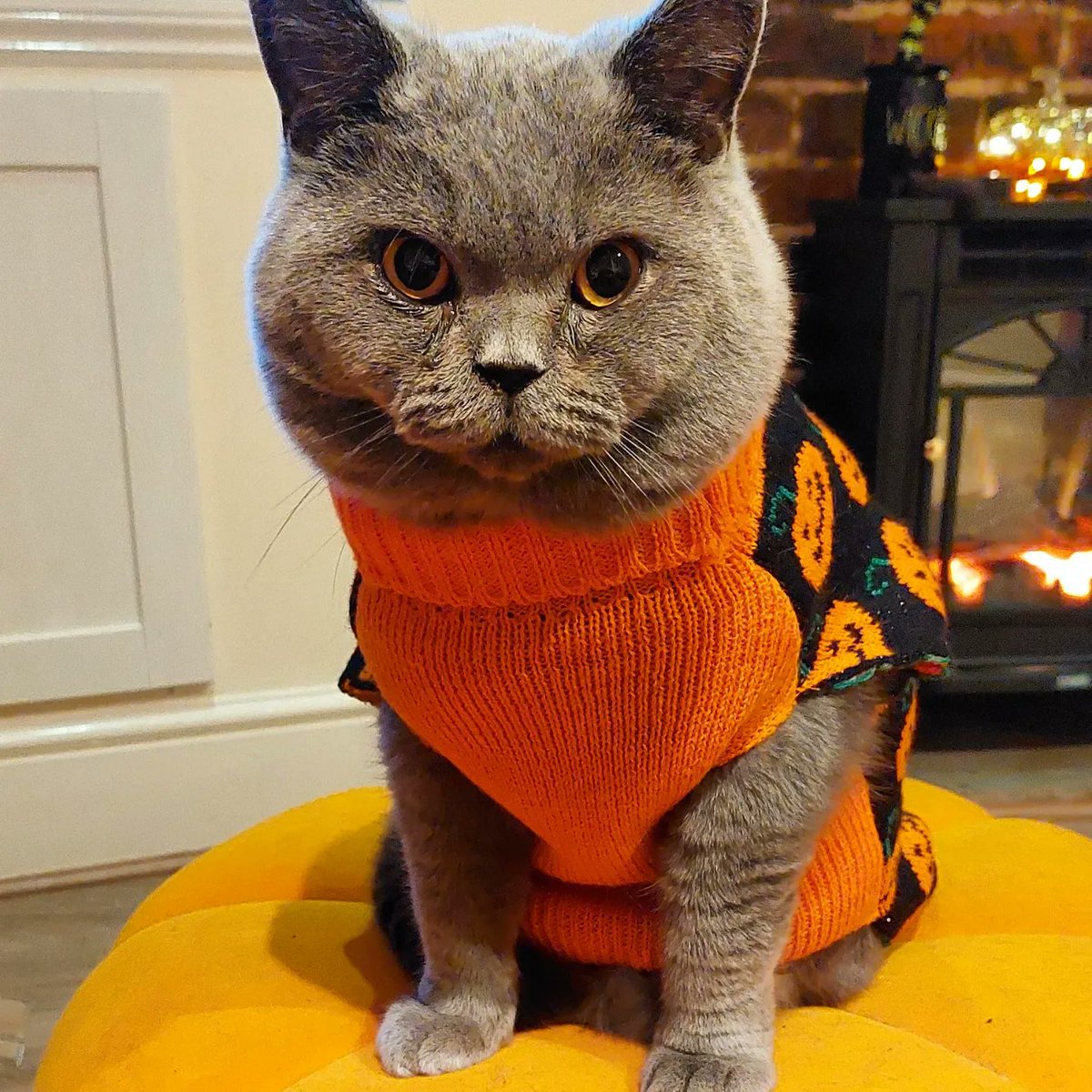 Natalie Smith tweet media