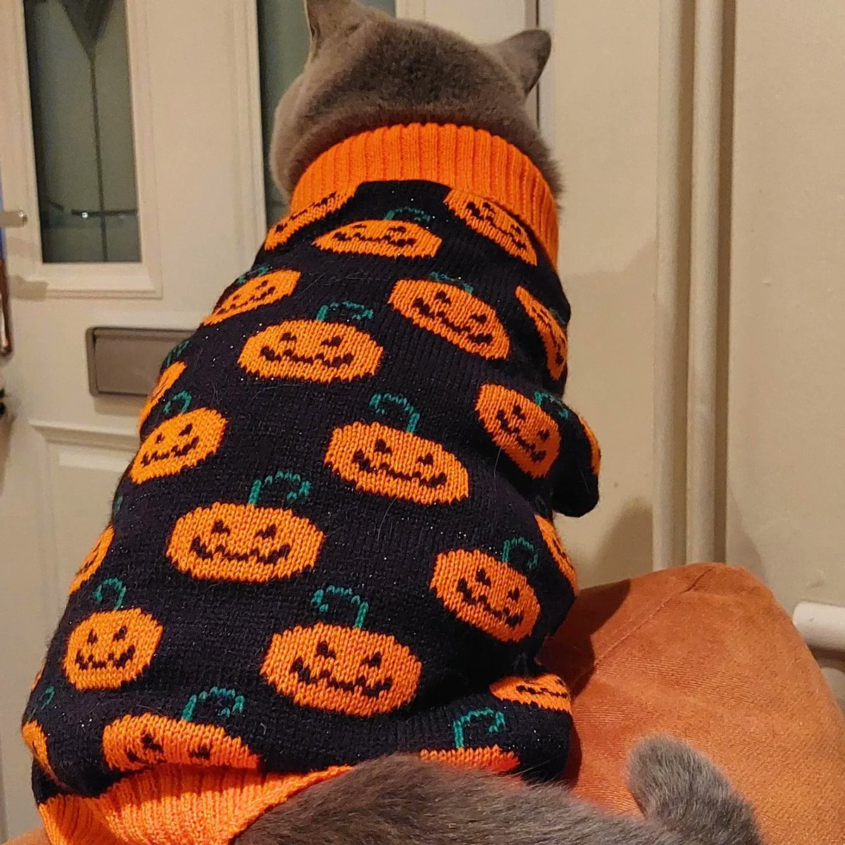 Natalie Smith tweet media