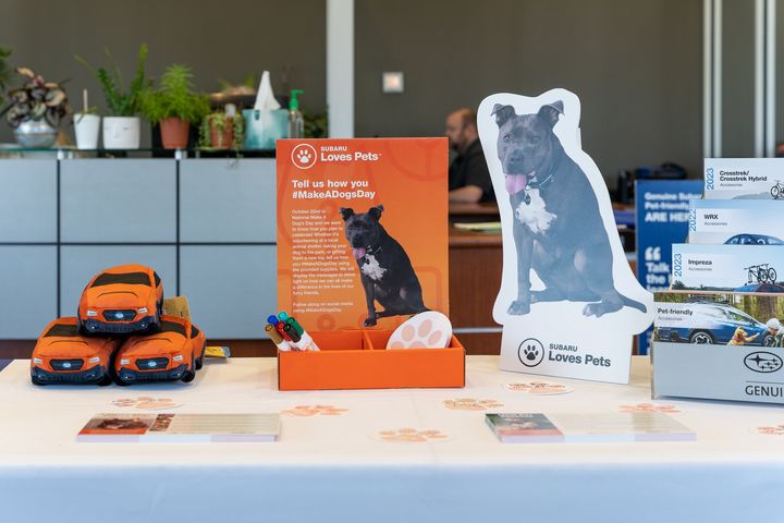 📅 Remember to stop by our showroom this month to tell us how you're going to #MakeaDogsDay🐶 on the 22'nd and get them a 2023 Chewbaru WRX! We also have tips for new pet owners and myths about rescue dogs provided by ASPCA! Learn more: bit.ly/3SS4WWw #subarulovespets