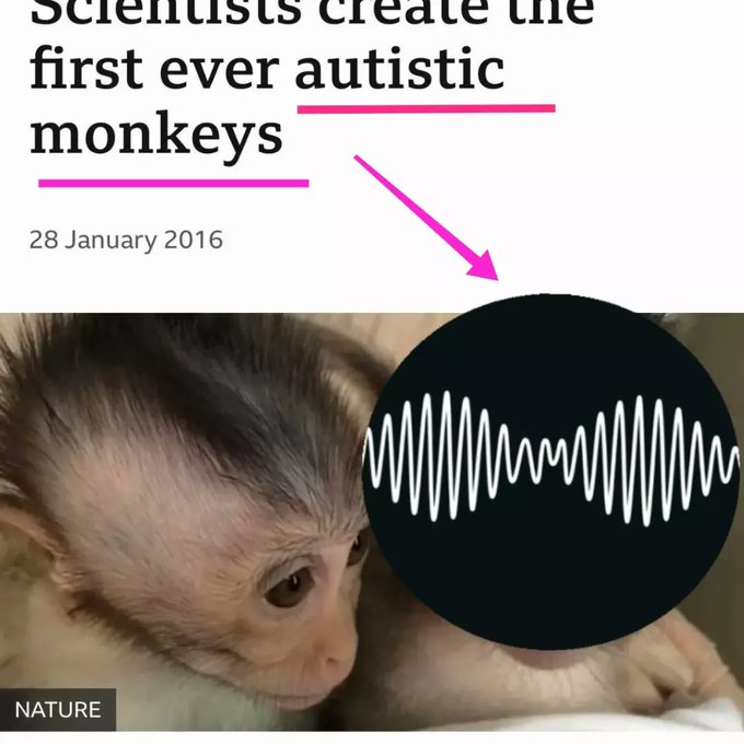 namesoun's tweet image. 