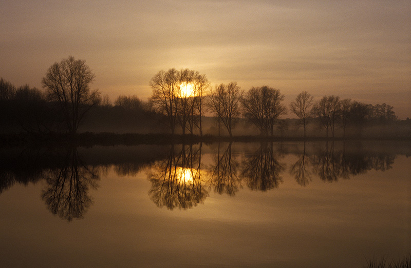 As the weather is now properly autumnal, I have an excuse to share this image of the University Broad at the <a href="/uniofeastanglia/">UEA</a> ... <a href="/ueaenv/">UEA School of Environmental Sciences</a>