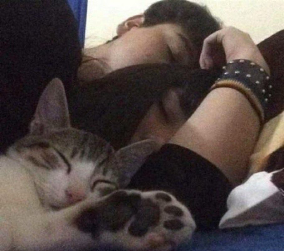 you might also relate to tweet media