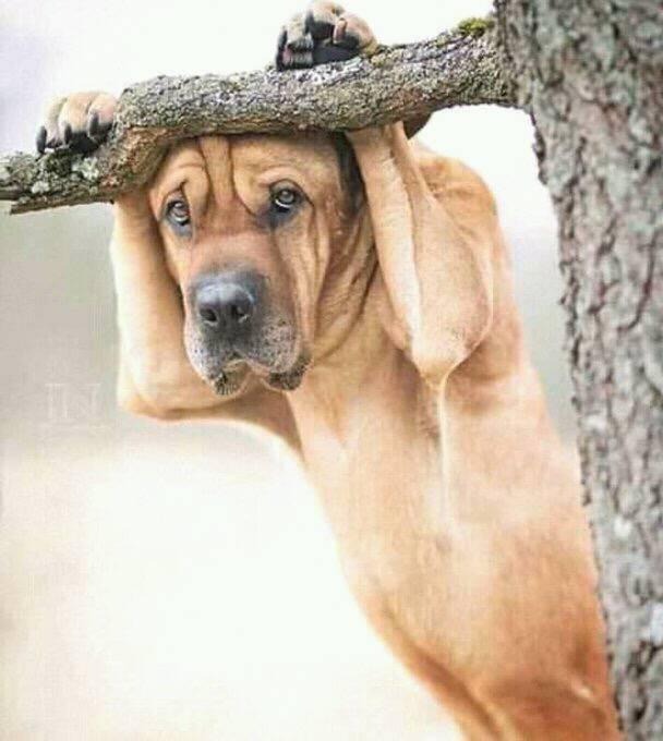 musical_cyclone's tweet photo. Moya waka o fase kudu! https://t.co/ytHUcNSyAa