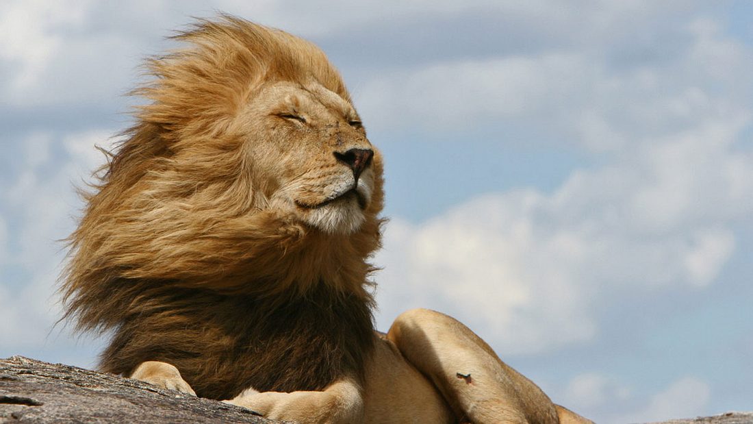 Marco Radoccia onlinegeldverdienen (@marcoradoccia) on Twitter photo 