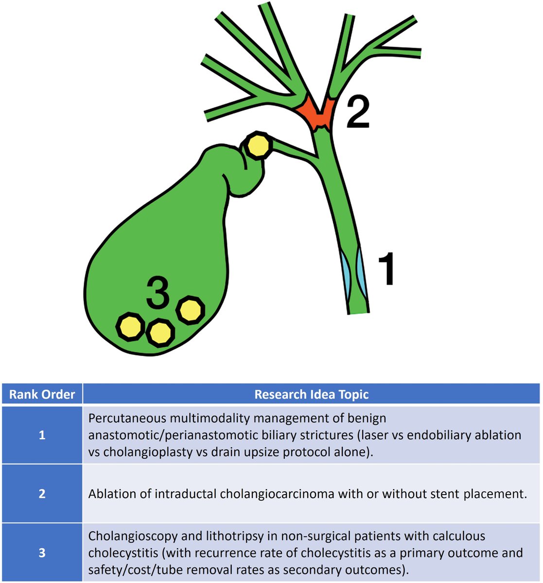 Research Priorities in Percutaneous Image- and Endoscopy-Guided Interventions for Biliary and Gallbladder Diseases:  Society of Interventional Radiology Foundation Multidisciplinary Research Consensus Panel

<a href="/ajgunnmd/">AJ Gunn</a> <a href="/medravi/">Ravi Srinivasa</a> <a href="/abijaoudehn/">Nadine Abi-Jaoudeh</a> <a href="/hsinghIR/">Harjit Singh</a> 

ow.ly/LPTA50L9ss6