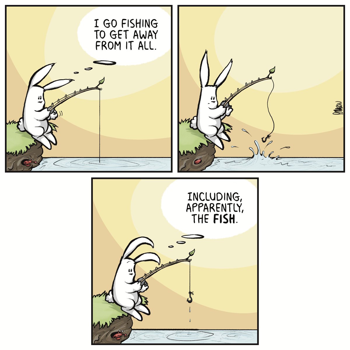 Roonie the Rabbit tweet media