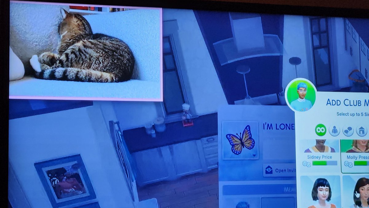 ce_oconnell's tweet photo. This is the best addition to @lilsimsie videos ever. https://t.co/Xcjt9P1ug4