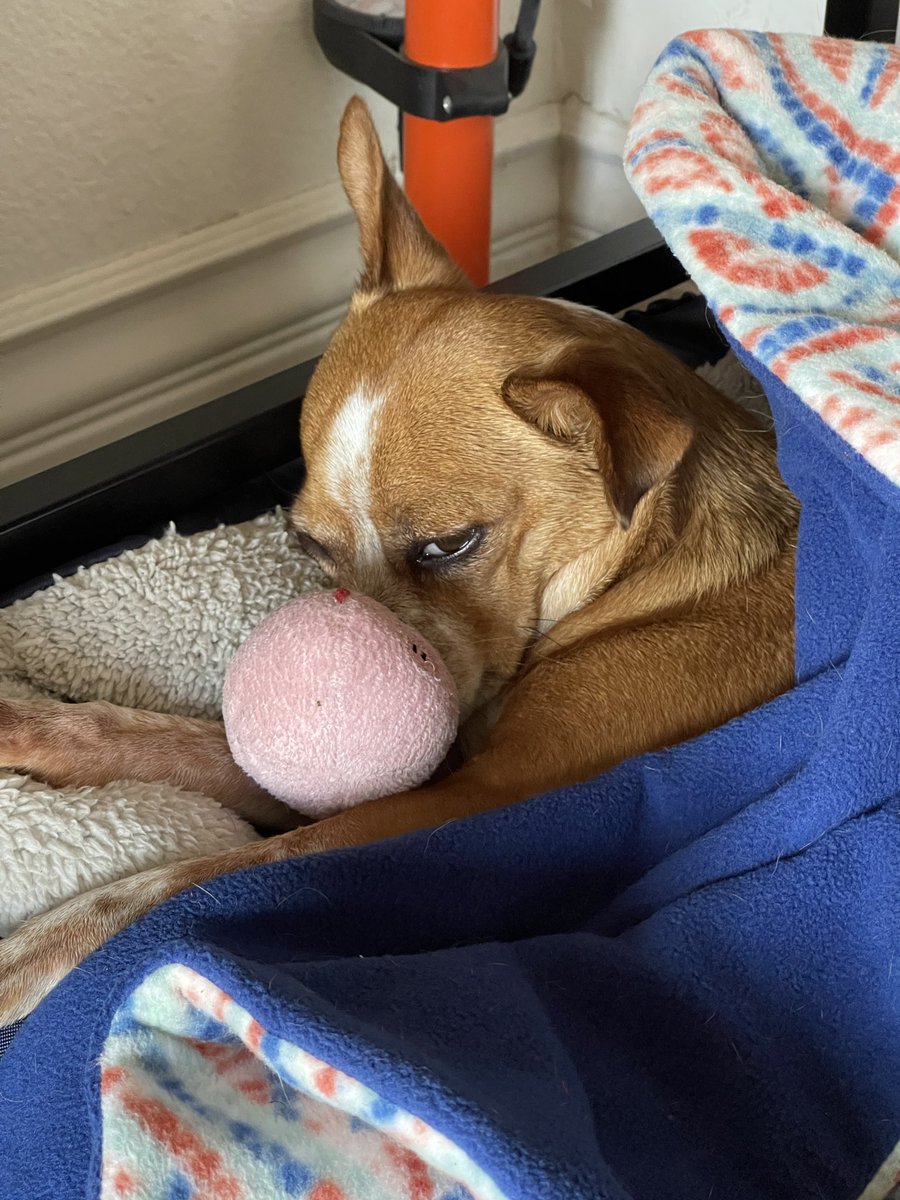 eliseliselise's tweet image. 