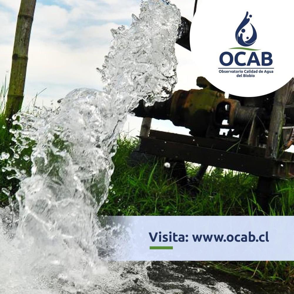 ocab_ucsc's tweet photo. #OCAB | Te queremos incitar a visitar nuestra página web 💻 https://t.co/9ppw7dt1UV para que conozcas más acerca de nuestro proyecto y el aporte que realizamos 💦💦 https://t.co/IFc4ywC8tP
