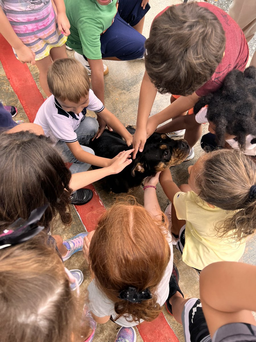 Brooke Gudgell tweet media