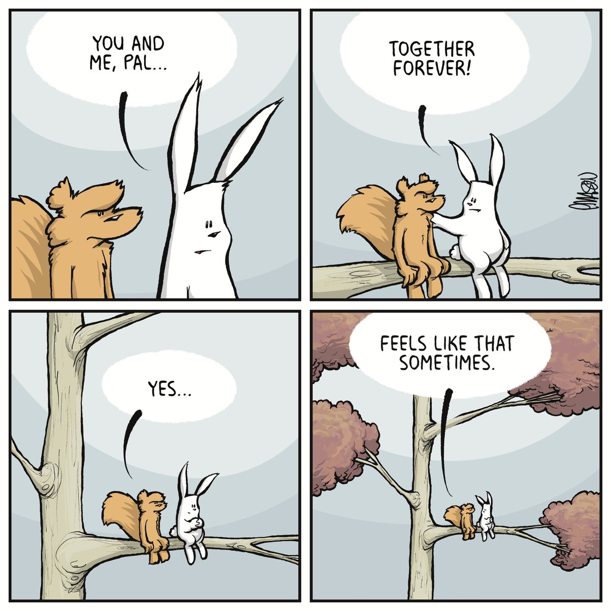 Roonie the Rabbit tweet media