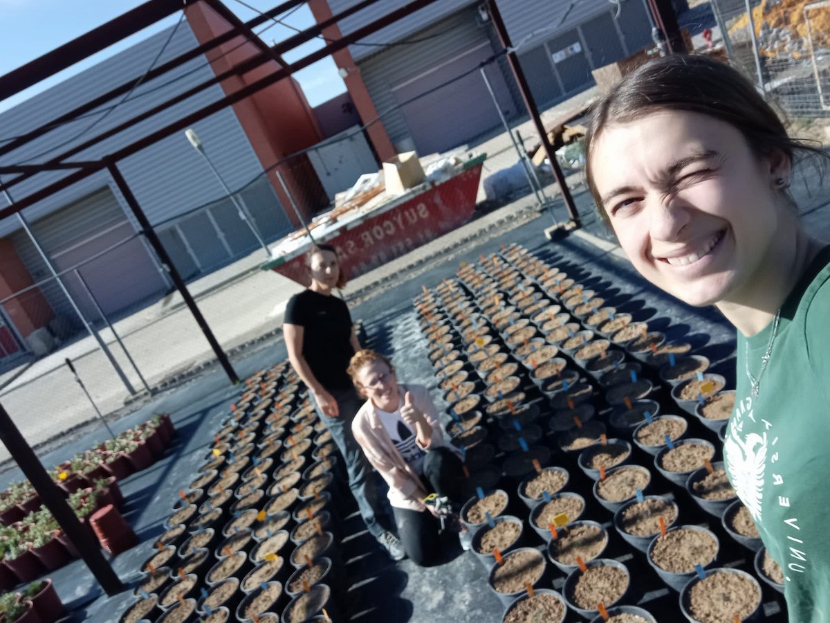 Silvia Matesanz tweet media