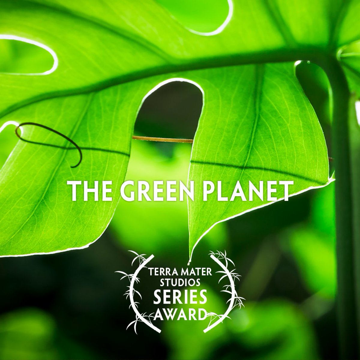 Winner of the 2022 Terra Mater Studios Series Award is - The Green Planet

<a href="/bbcstudios/">BBC Studios</a>
<a href="/terramater/">terramater</a>