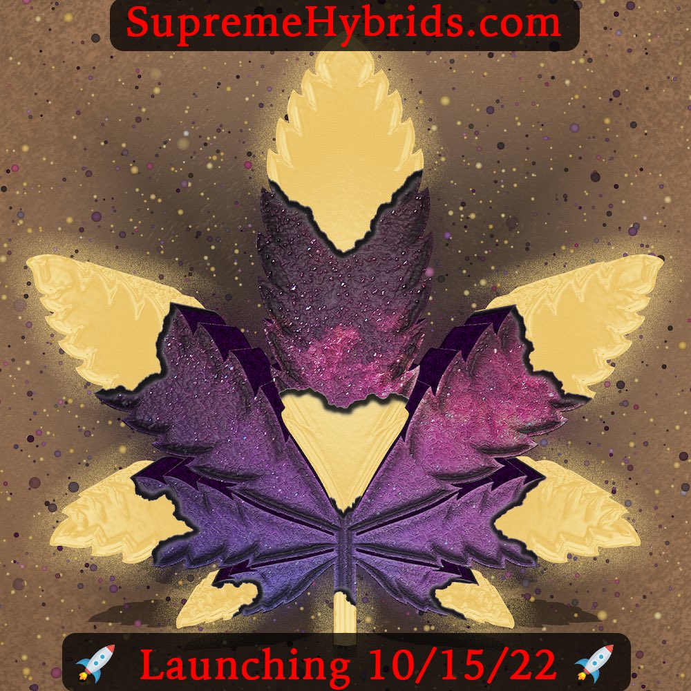 2️⃣ more days and we launch 🚀
Join us for all the great utilities and benefits. 💯 Kilimanjaro &amp; Golf Soft. 🤯

-

#NFT #NFTs #NFTart #nftcommunity #NFTcollector #NFTcollectors #NFTdrop