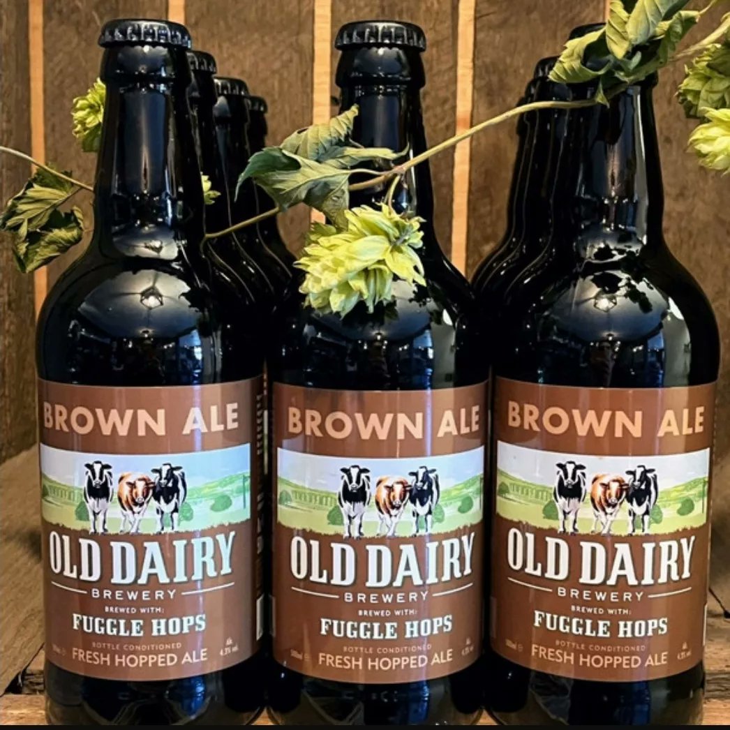 <a href="/OldDairyBrewery/">Old Dairy taproom</a> has launched two green hop beers, brewed with hops grown locally by Hukins Hops, of Biddenden, Kent. Extra Pale Ale (3.7% ABV) is brewed with Challenger hops, and Brown Ale (4.3%) uses Fuggle hops.  #realalecraftbeertayside #Ale #beer #craftbeer