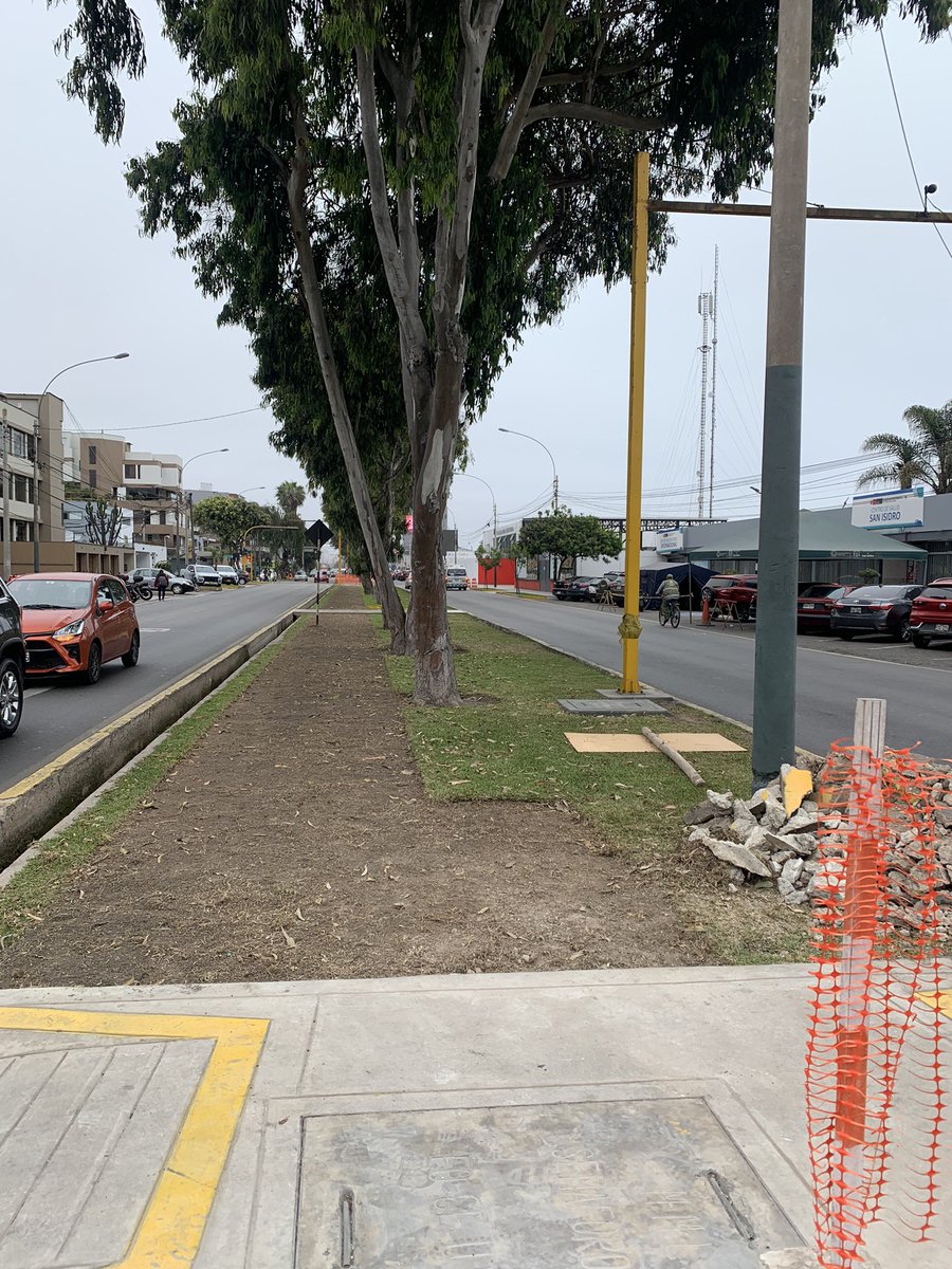 ManuelVelardeD's tweet image. Otra vez tratando de poner una ciclovía en la berma central de la av. del Ejercito, eliminando áreas verdes????