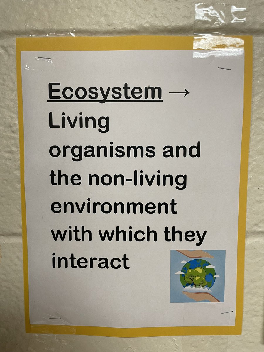 yansick205's tweet photo. ๐ Today we began to work in Science to learn about ecosystems. As scientists, we know to draw and label our diagrams. #WeAreBethpage #sciencesmart @BethpageUFSD @CpollatosBUFSD @DschneiderBUFSD @ms_gparaskakis @EDifiglia https://t.co/wiIGr2B4v3