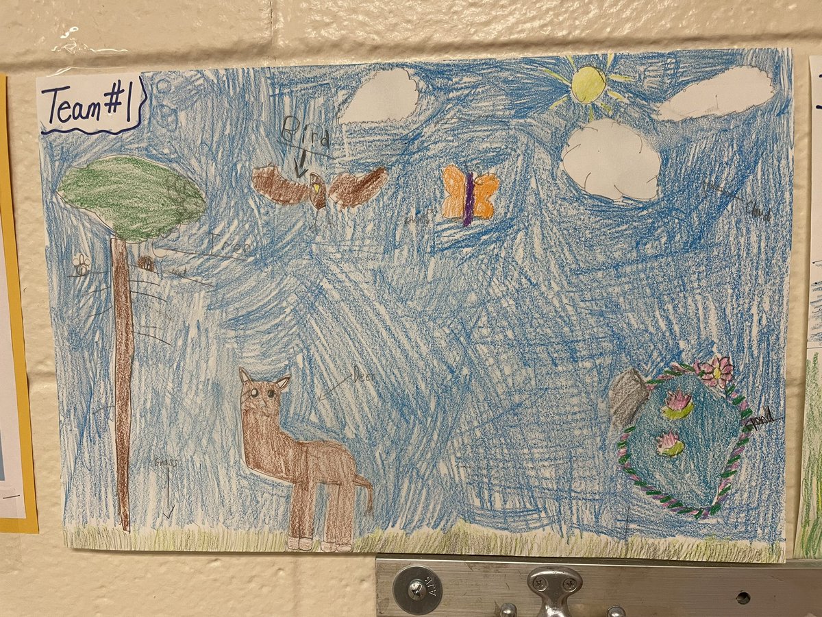 yansick205's tweet photo. ๐ Today we began to work in Science to learn about ecosystems. As scientists, we know to draw and label our diagrams. #WeAreBethpage #sciencesmart @BethpageUFSD @CpollatosBUFSD @DschneiderBUFSD @ms_gparaskakis @EDifiglia https://t.co/wiIGr2B4v3