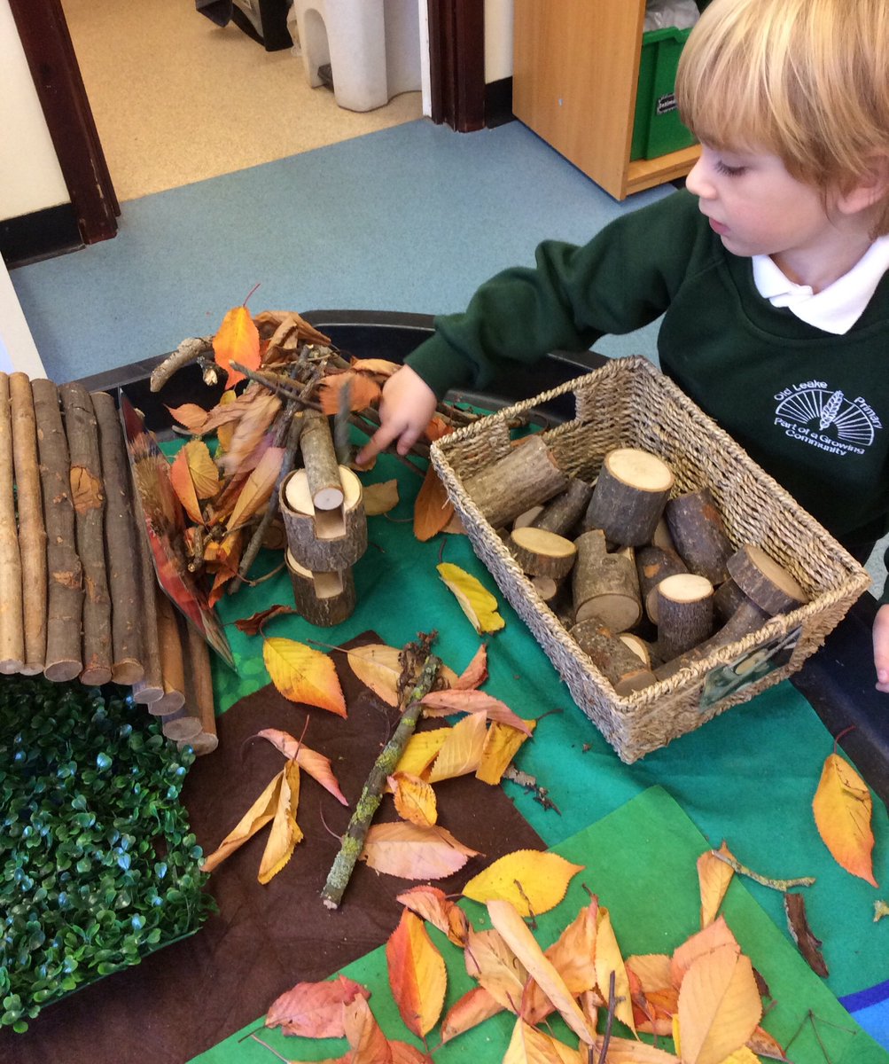 Seedlings Nursery tweet media