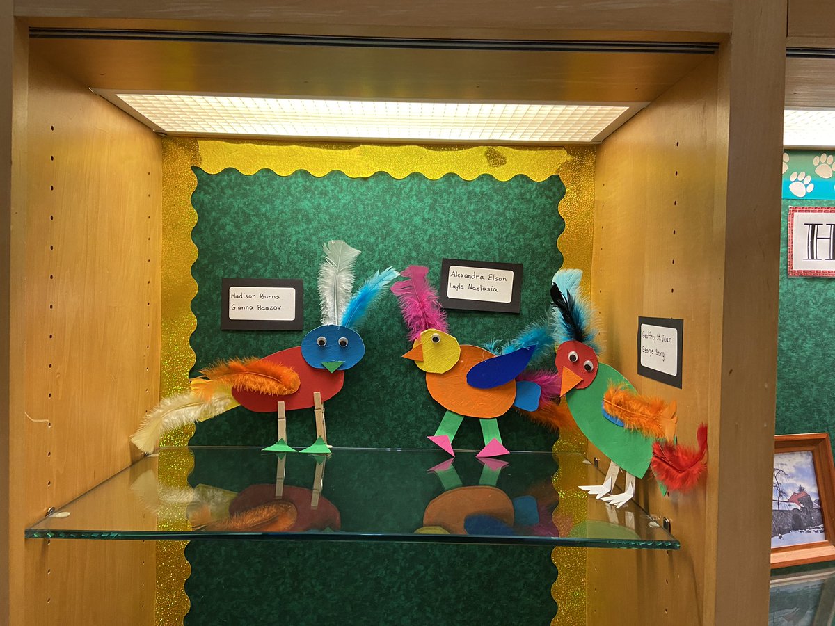 Kristyn Shea tweet media